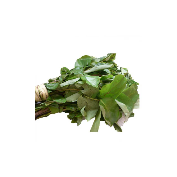 Fresh Oha Leaves (3 Bunches)